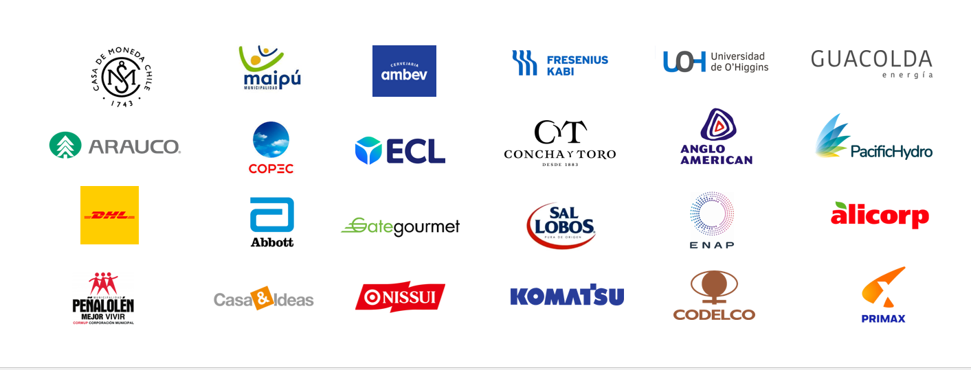 Referencias de clientes y organizaciones con experiencia SAP Appsys